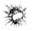 Crack in Screen
